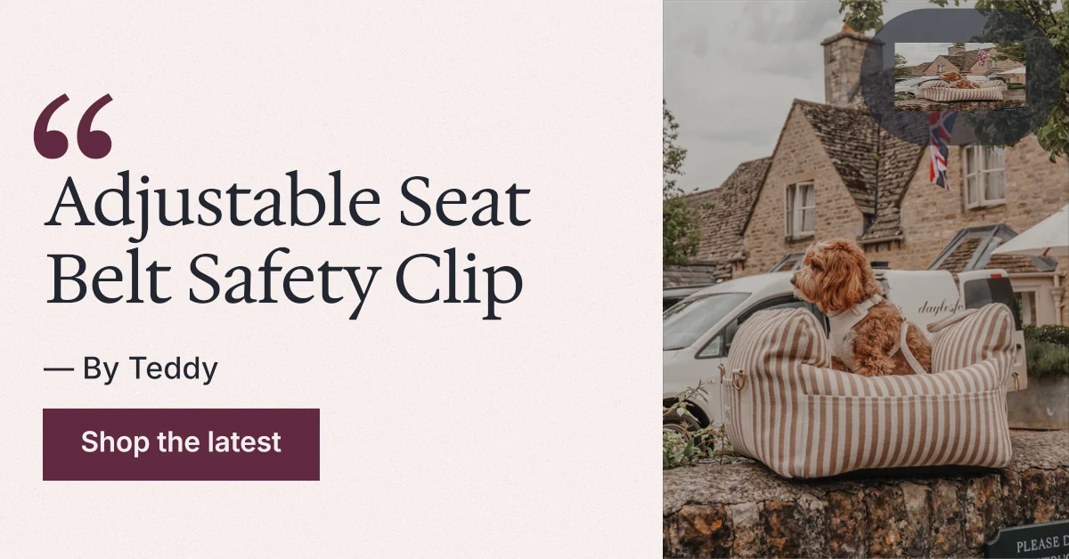 Social ad for By Teddy: "Adjustable Seat Belt Safety Clip". Swiss style, quote layout, light palette in white, orange, grey.