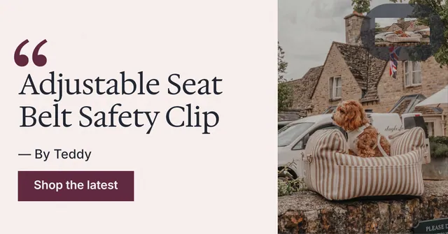 Social ad for By Teddy: "Adjustable Seat Belt Safety Clip". Swiss style, quote layout, light palette in white, orange, grey.