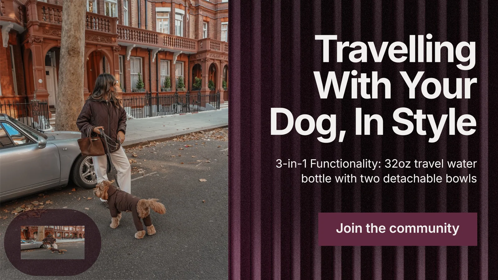 Landscape graphic for By Teddy: "Travelling With Your Dog, In Style". Swiss style, right layout, dark palette in black, grey, red.