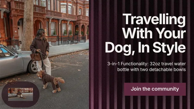 Landscape graphic for By Teddy: "Travelling With Your Dog, In Style". Swiss style, right layout, dark palette in black, grey, red.