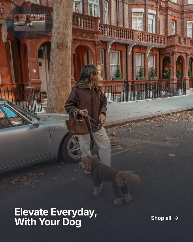 Instagram portrait post for By Teddy: "Elevate Everyday, With Your Dog". Swiss style, image led layout, dark palette in grey, black, red.