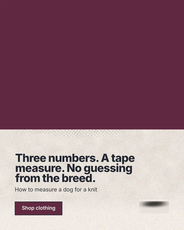 Instagram portrait post for By Teddy: "Three numbers. A tape measure. No guessing from the breed." Ink sticker style, bottom layout, light palette in red, orange.