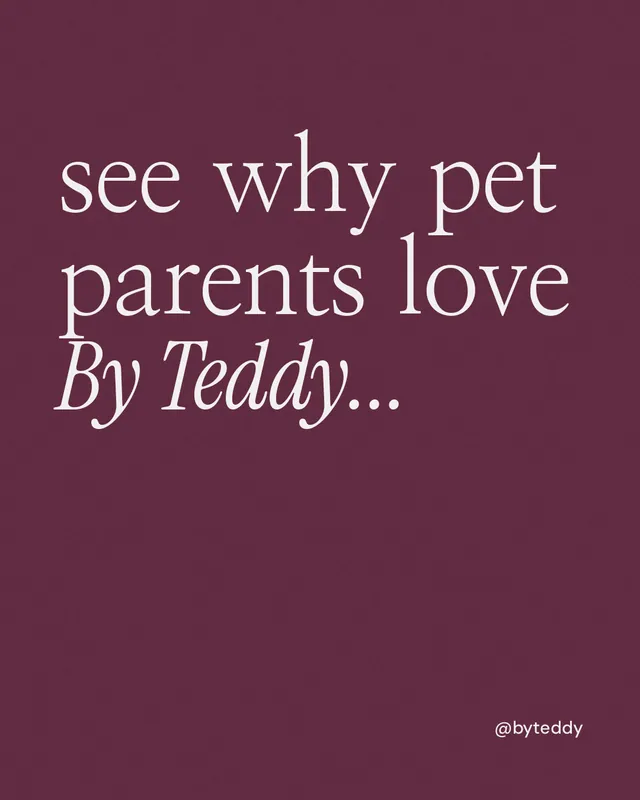 Instagram portrait post for By Teddy: "see why pet parents love By Teddy..." Editorial style, technique:mixed type lockup layout, dark palette in red, pink.