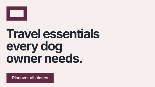 Landscape graphic for By Teddy: "Travel essentials every dog owner needs." Swiss style, announce layout, light palette in white, grey.