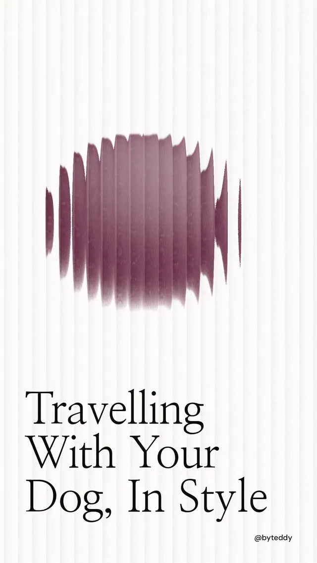 Instagram story for By Teddy: "Travelling With Your Dog, In Style". Auto 9x16 style, technique:shader field layout, light palette in white, grey.