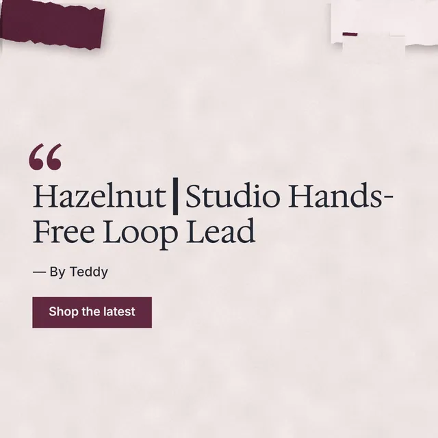 Instagram post for By Teddy: "Hazelnut┃Studio Hands-Free Loop Lead". Swiss style, quote layout, light palette in red, grey.