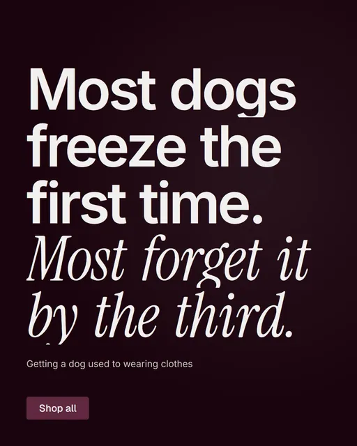 Video for By Teddy: "Most dogs freeze the first time. Most forget it by the third.". Doc motion loop, 8.0 s, dark palette.