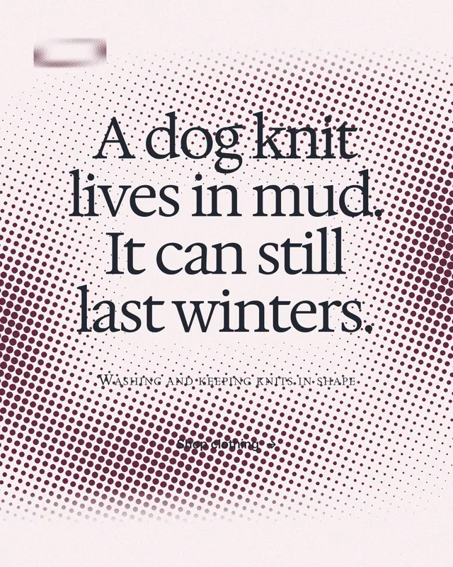Instagram portrait post for By Teddy: "A dog knit lives in mud. It can still last winters." Swiss style, smallcaps layout, light palette in white, grey, red.