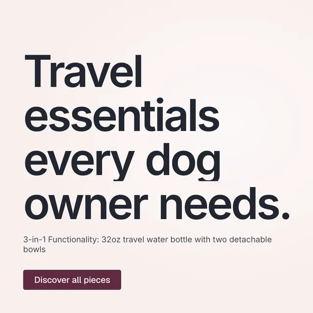 Video for By Teddy: "Travel essentials every dog owner needs.". Doc motion loop, 7.0 s, light palette.