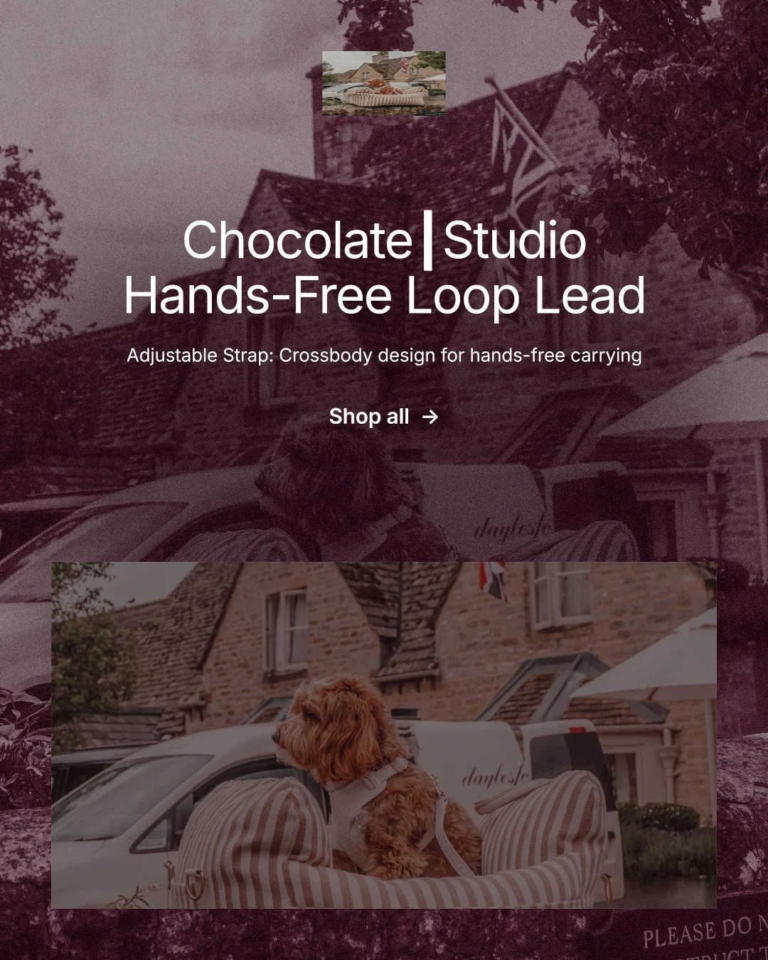 Instagram portrait post for By Teddy: "Chocolate┃Studio Hands-Free Loop Lead". Film still style, centred layout, dark palette in grey, red.
