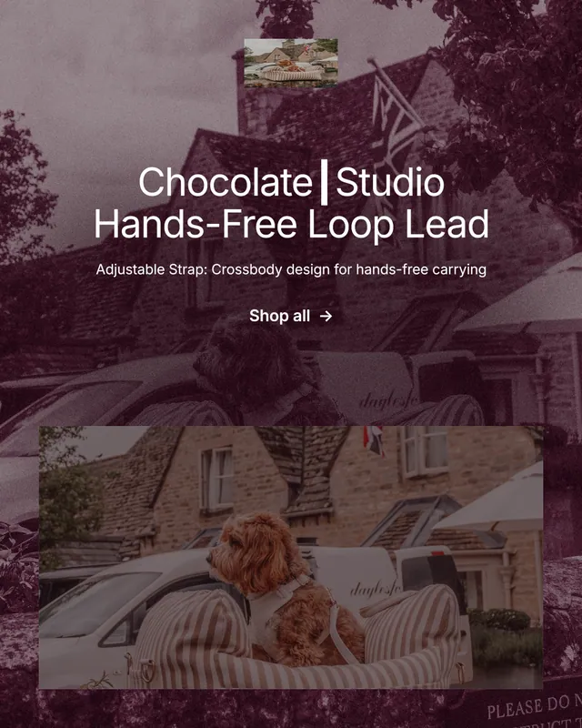 Instagram portrait post for By Teddy: "Chocolate┃Studio Hands-Free Loop Lead". Film still style, centred layout, dark palette in grey, red.