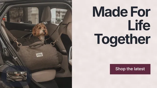 Landscape graphic for By Teddy: "Made For Life Together". Swiss style, right layout, light palette in red, grey, black.
