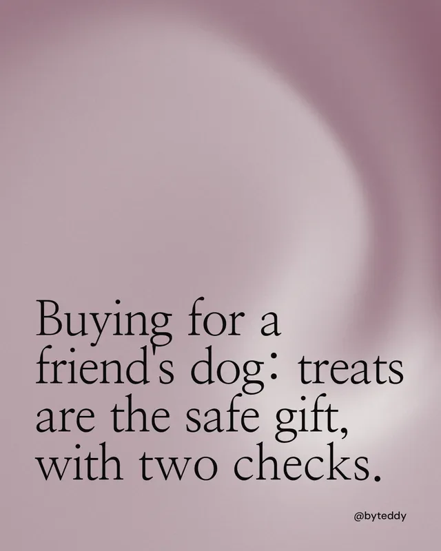 Instagram portrait post for By Teddy: "Buying for a friend's dog: treats are the safe gift, with two checks." Auto 4x5 style, technique:shader field layout, light palette in grey.