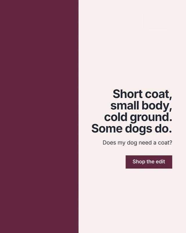 Instagram portrait post for By Teddy: "Short coat, small body, cold ground. Some dogs do." Swiss style, right layout, light palette in white, red.