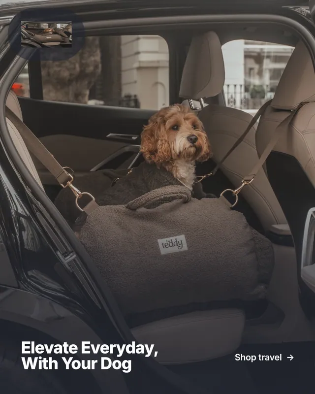 Instagram portrait post for By Teddy: "Elevate Everyday, With Your Dog". Paper trio style, image led layout, dark palette in black, grey.