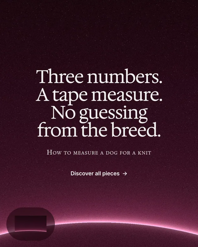 Instagram portrait post for By Teddy: "Three numbers. A tape measure. No guessing from the breed." Swiss style, smallcaps layout, dark palette in black, pink, grey.