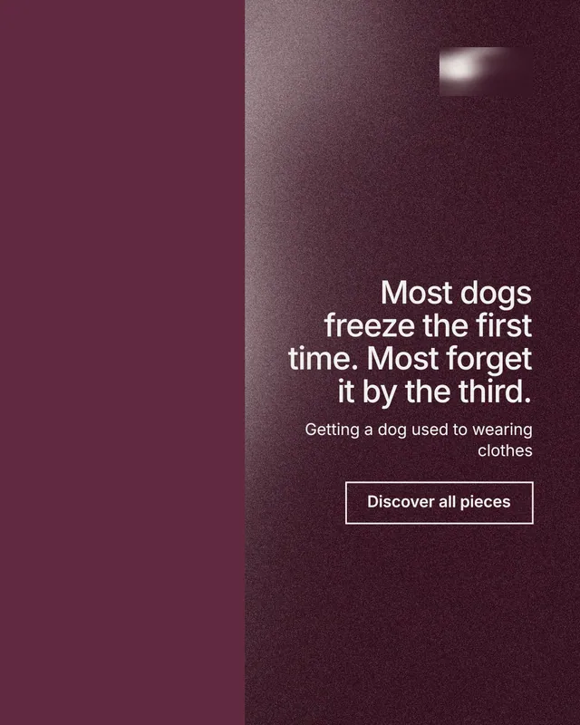 Instagram portrait post for By Teddy: "Most dogs freeze the first time. Most forget it by the third." Cyanotype style, right layout, dark palette in red, grey, pink.