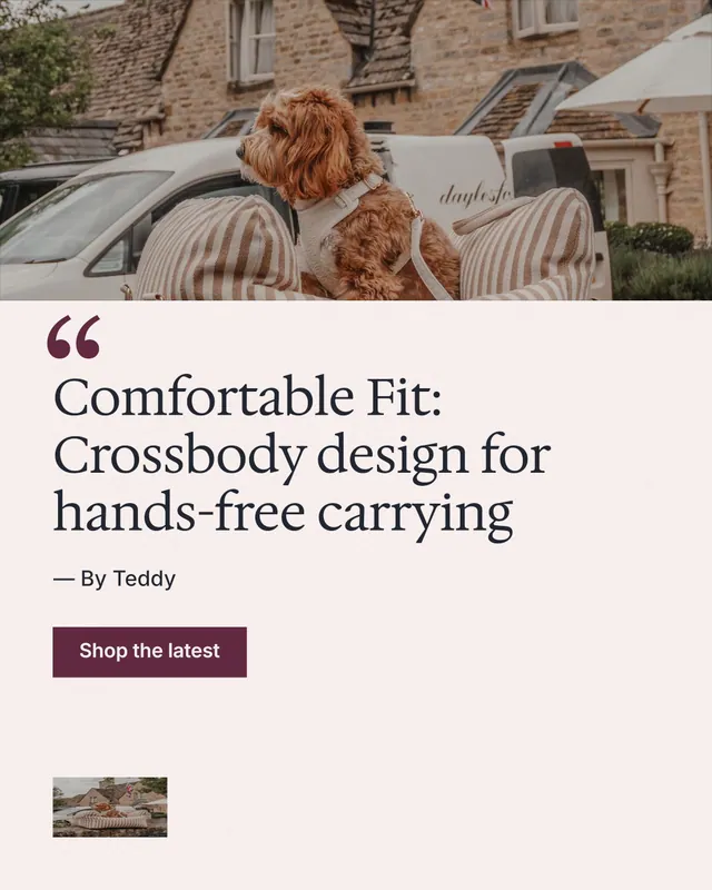 Instagram portrait post for By Teddy: "Comfortable Fit: Crossbody design for hands-free carrying". Swiss style, quote layout, light palette in white, orange, grey.