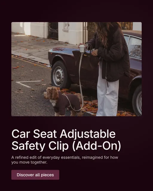 Video for By Teddy: "Car Seat Adjustable Safety Clip (Add-On)". Doc motion loop, 8.0 s, dark palette.