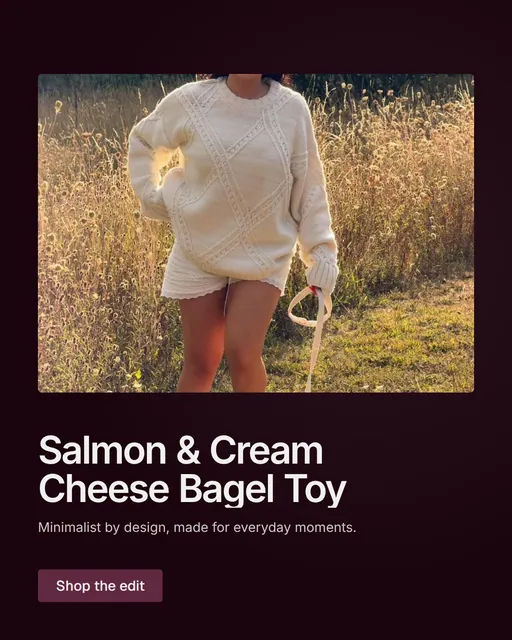 Video for By Teddy: "Salmon & Cream Cheese Bagel Toy". Doc motion loop, 8.0 s, dark palette.