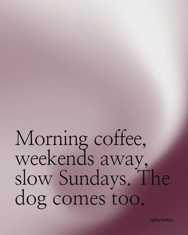 Instagram portrait post for By Teddy: "Morning coffee, weekends away, slow Sundays. The dog comes too." Auto 4x5 style, technique:shader field layout, light palette in grey, red, white.