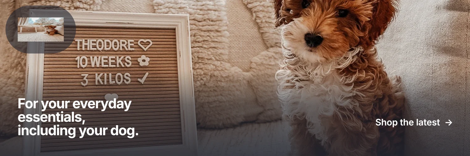 X header for By Teddy: "For your everyday essentials, including your dog." Swiss style, image led layout, dark palette in grey, orange, black.