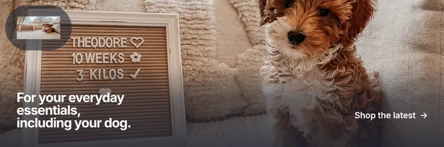 X header for By Teddy: "For your everyday essentials, including your dog." Swiss style, image led layout, dark palette in grey, orange, black.