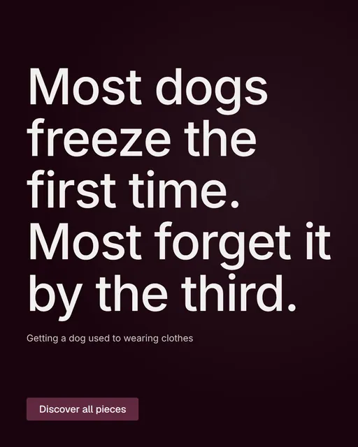 Video for By Teddy: "Most dogs freeze the first time. Most forget it by the third.". Kinetic type grid, 6.0 s, dark palette.