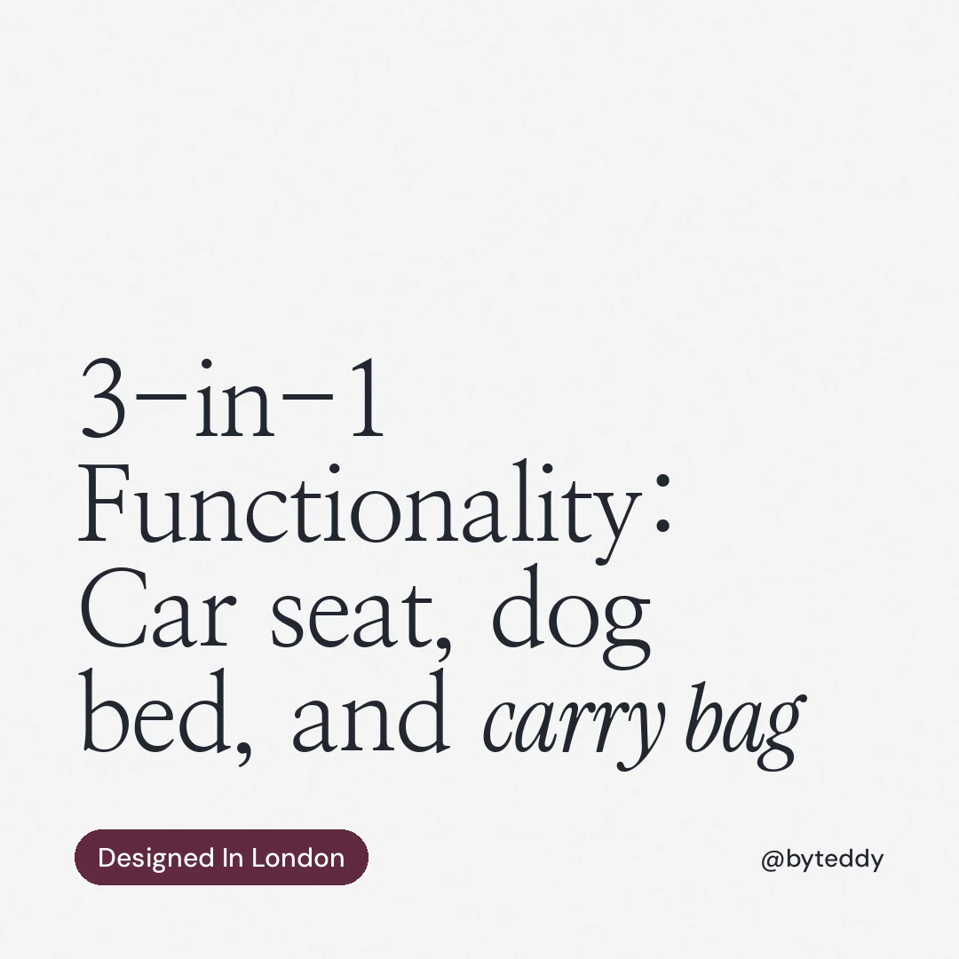 Instagram post for By Teddy: "3-in-1 Functionality: Car seat, dog bed, and carry bag". Caption style, technique:mixed type lockup layout, light palette in white, grey.