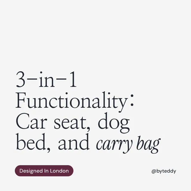 Instagram post for By Teddy: "3-in-1 Functionality: Car seat, dog bed, and carry bag". Caption style, technique:mixed type lockup layout, light palette in white, grey.