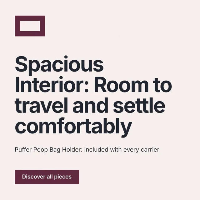 Instagram post for By Teddy: "Spacious Interior: Room to travel and settle comfortably". Swiss style, announce layout, light palette in white, grey.