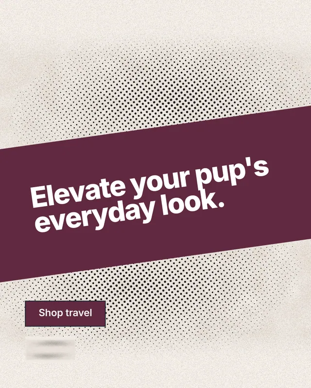 Instagram portrait post for By Teddy: "Elevate your pup's everyday look." Ink sticker style, diagonal layout, light palette in white, red, orange.