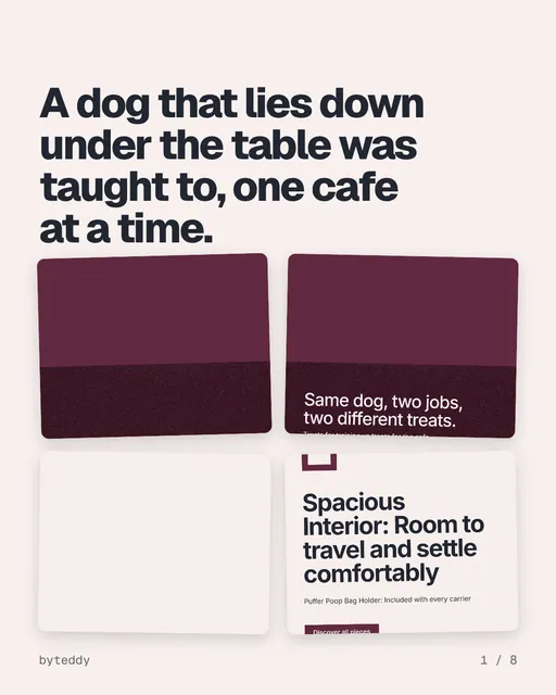 Carousel for By Teddy: "A dog that lies down under the table was taught to, one cafe at a time.". Collection carousel, 8 slides, light palette.