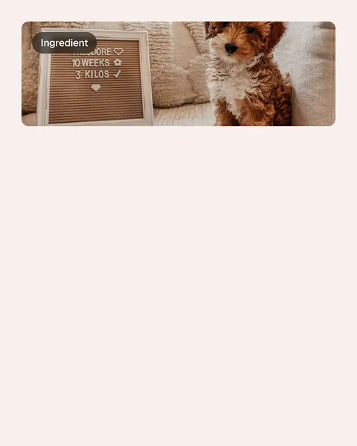 Video for By Teddy: "For your everyday essentials, including your dog.". Before after wipe, 6.0 s, light palette.