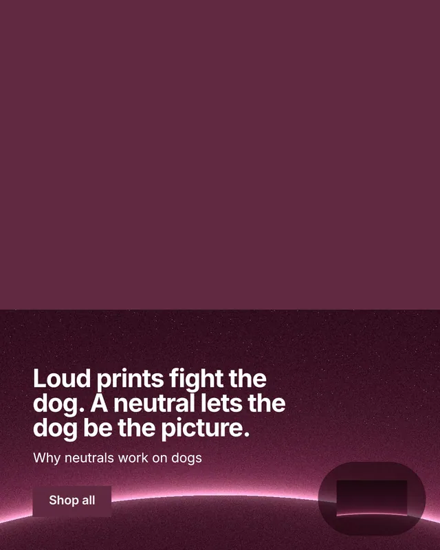 Instagram portrait post for By Teddy: "Loud prints fight the dog. A neutral lets the dog be the picture." Swiss style, bottom layout, dark palette in red, pink.