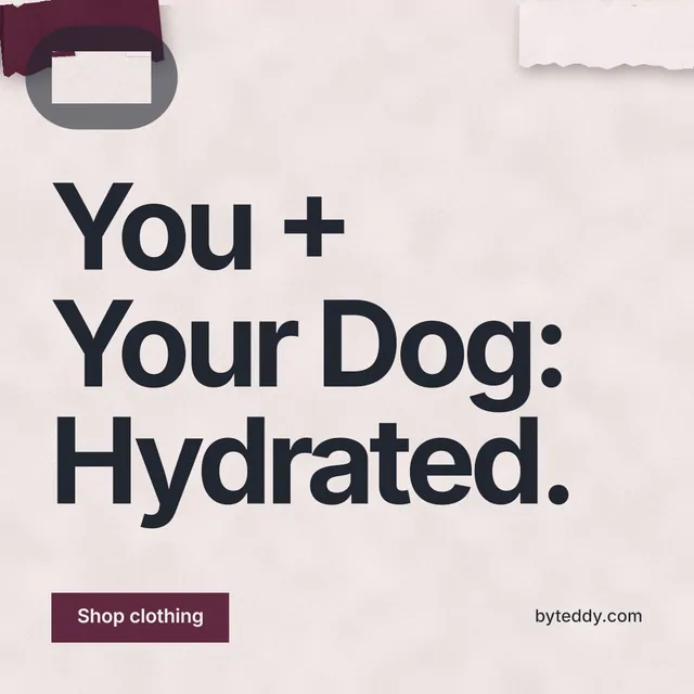 Instagram post for By Teddy: "You + Your Dog: Hydrated." Swiss style, poster layout, light palette in red, grey, white.