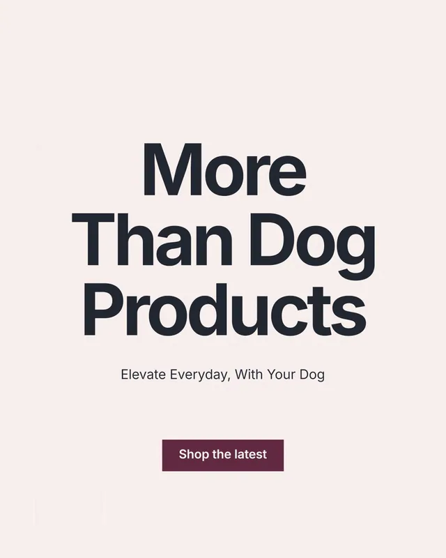 Instagram portrait post for By Teddy: "More Than Dog Products". Swiss style, centred layout, light palette in white, grey.