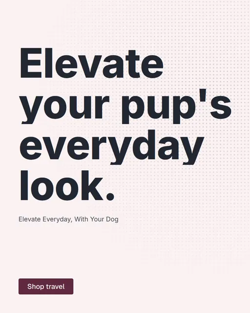 Video for By Teddy: "Elevate your pup's everyday look.". Doc motion loop, 8.0 s, light palette.