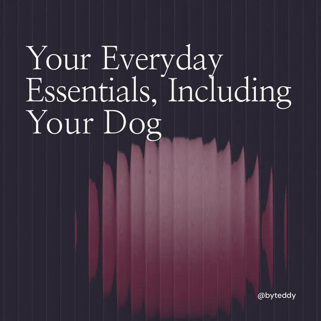Instagram post for By Teddy: "Your Everyday Essentials, Including Your Dog". Auto 1x1 style, technique:shader field layout, dark palette in black, grey.