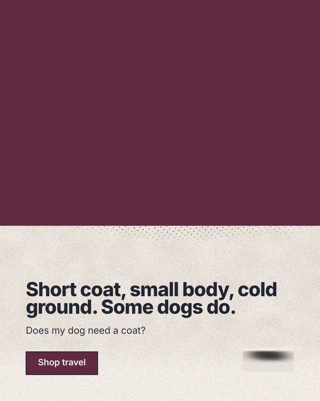 Instagram portrait post for By Teddy: "Short coat, small body, cold ground. Some dogs do." Ink sticker style, bottom layout, light palette in red, orange.