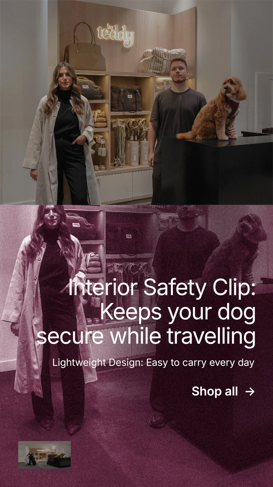 Instagram story for By Teddy: "Interior Safety Clip: Keeps your dog secure while travelling". Film still style, right layout, dark palette in grey, black, red.