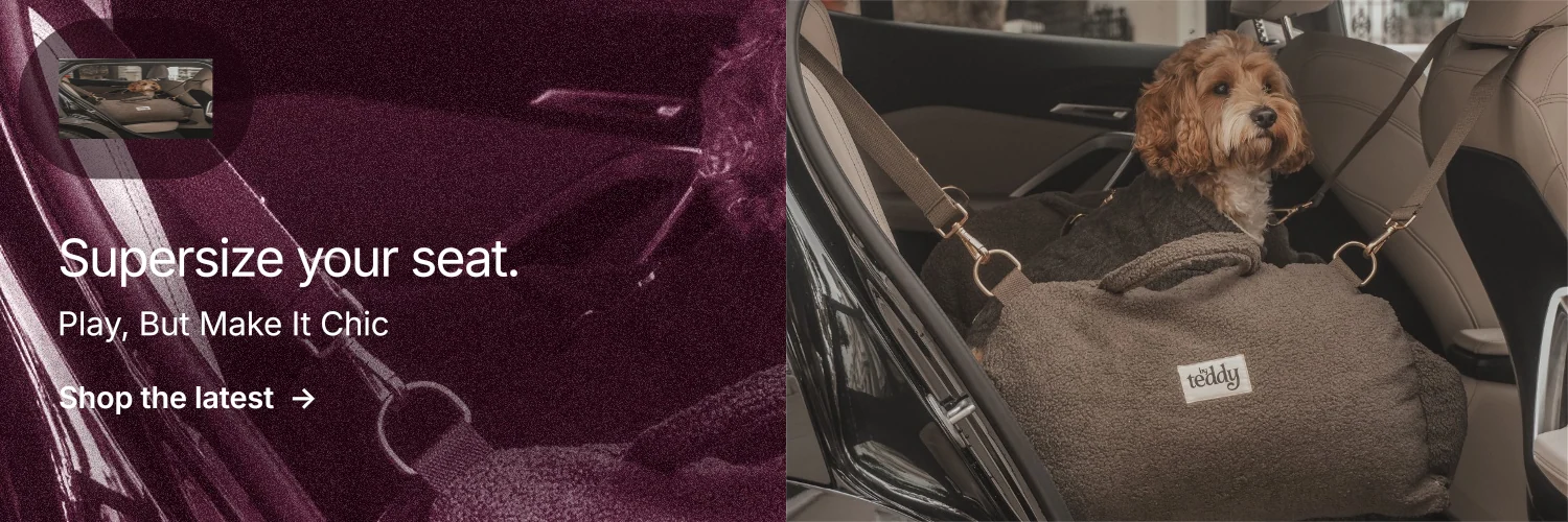 X header for By Teddy: "Supersize your seat." Film still style, bottom layout, dark palette in black, red, grey.