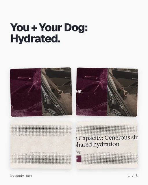 Carousel for By Teddy: "You + Your Dog: Hydrated.". Collection carousel, 8 slides, light palette.