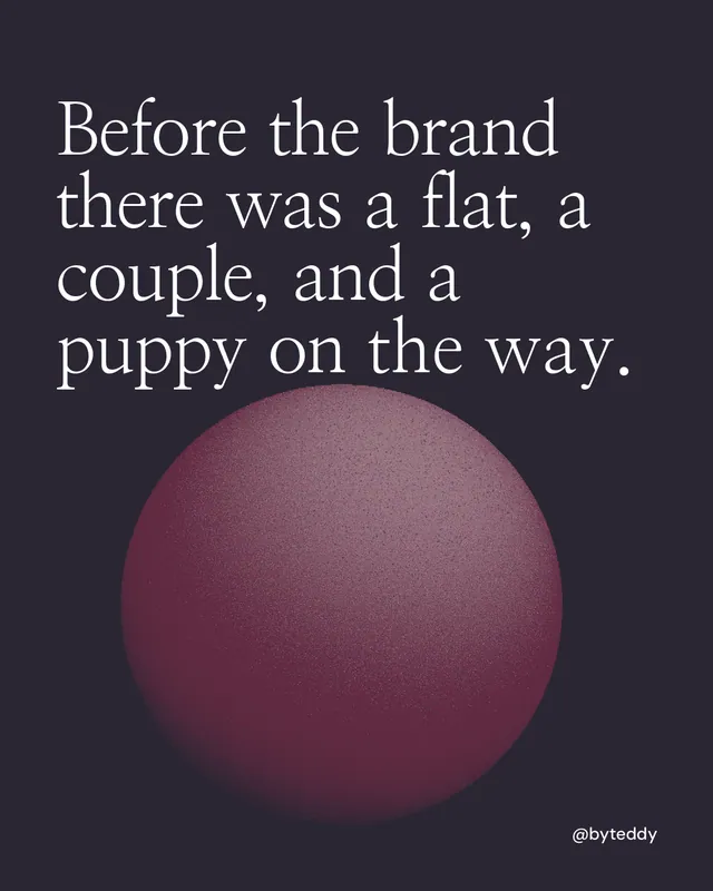 Instagram portrait post for By Teddy: "Before the brand there was a flat, a couple, and a puppy on the way." Auto 4x5 style, technique:shader field layout, dark palette in black, grey.