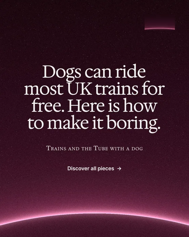Instagram portrait post for By Teddy: "Dogs can ride most UK trains for free. Here is how to make it boring." Swiss style, smallcaps layout, dark palette in pink, black.