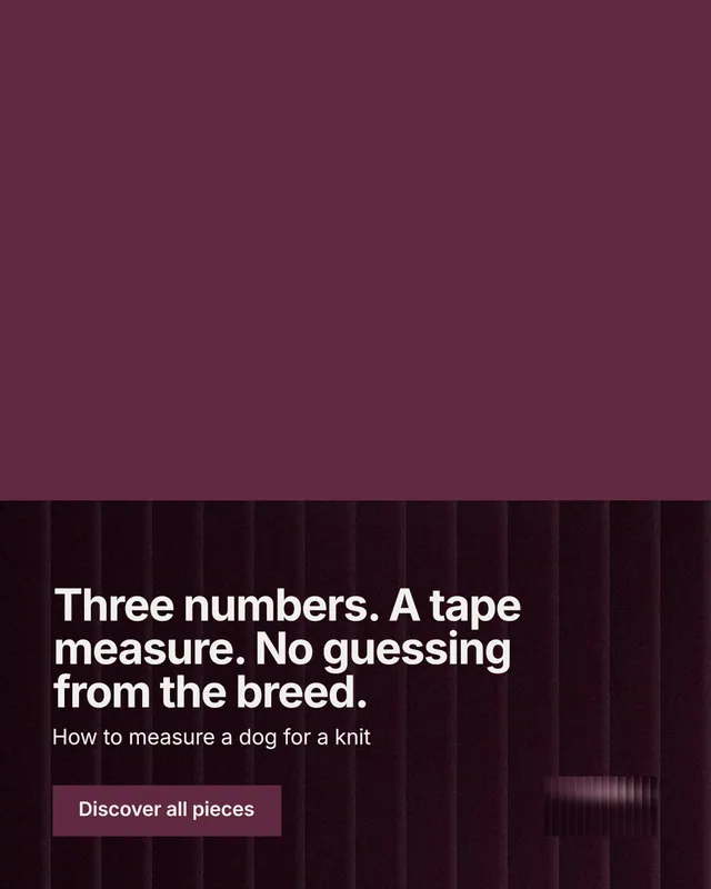 Instagram portrait post for By Teddy: "Three numbers. A tape measure. No guessing from the breed." Swiss style, bottom layout, dark palette in red, black.