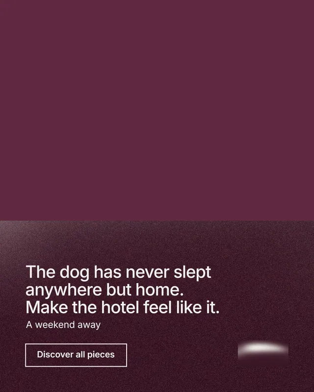 Instagram portrait post for By Teddy: "The dog has never slept anywhere but home. Make the hotel feel like it." Cyanotype style, bottom layout, dark palette in red, grey.