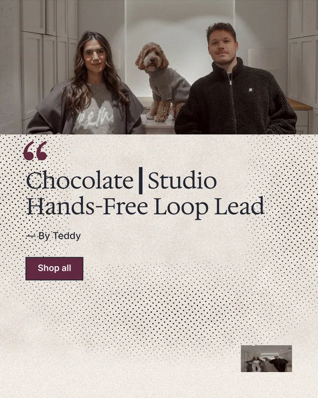 Instagram portrait post for By Teddy: "Chocolate┃Studio Hands-Free Loop Lead". Ink sticker style, quote layout, light palette in orange, grey.