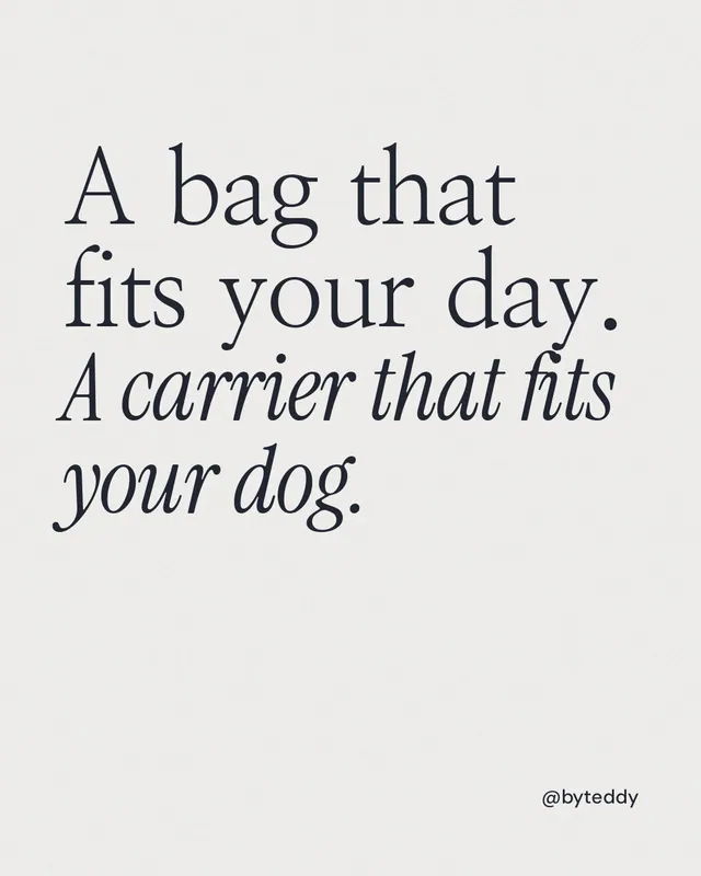 Instagram portrait post for By Teddy: "A bag that fits your day. A carrier that fits your dog." Editorial style, technique:mixed type lockup layout, light palette in white.