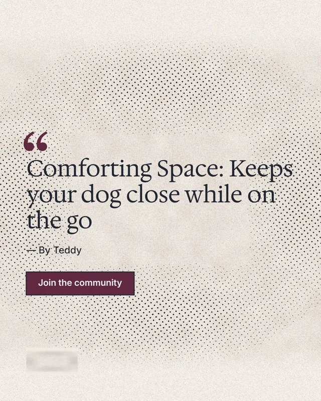 Instagram portrait post for By Teddy: "Comforting Space: Keeps your dog close while on the go". Ink sticker style, quote layout, light palette in white, orange, grey.